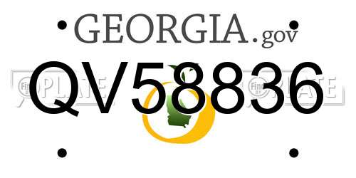 QV58836 Georgia License Plate