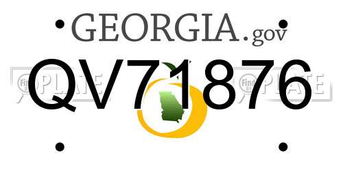 QV71876 Georgia License Plate