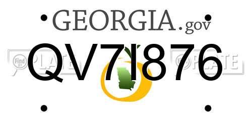 QV7I876 Georgia License Plate