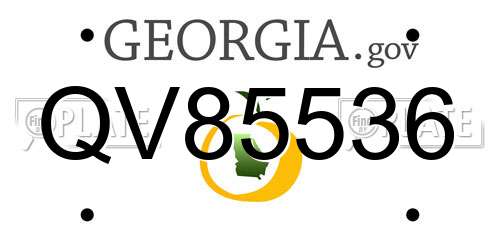 QV85536 Georgia License Plate