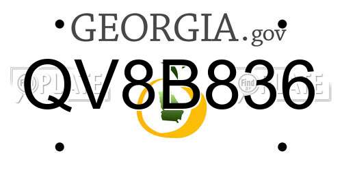 QV8B836 Georgia License Plate