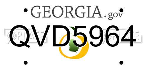 QVD5964 Georgia License Plate