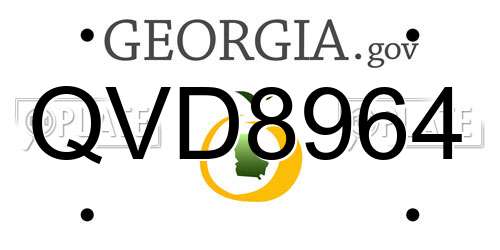 QVD8964 Georgia License Plate