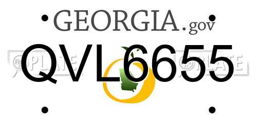 QVL6655 Georgia License Plate