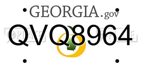 QVQ8964 Georgia License Plate