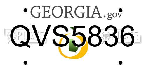 QVS5836 Georgia License Plate