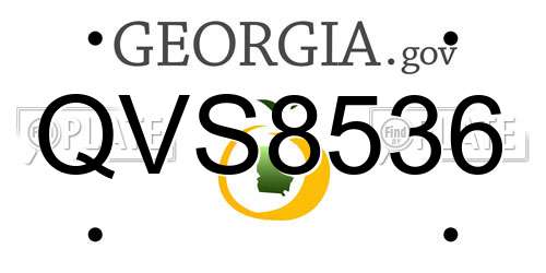 QVS8536 Georgia License Plate