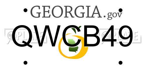 QWCB49 Georgia License Plate