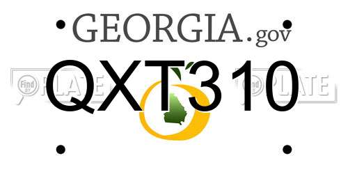 QXT310 Georgia License Plate