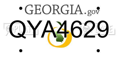 QYA4629 Georgia License Plate