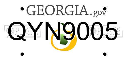 QYN9005 Georgia License Plate