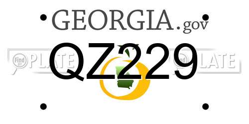 QZ229 Georgia License Plate