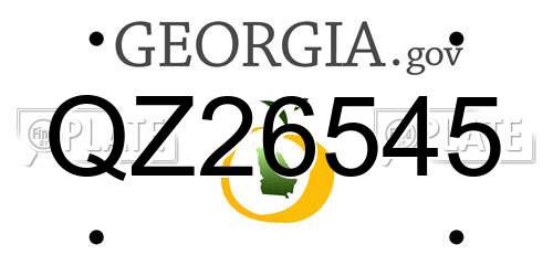 QZ26545 Georgia License Plate