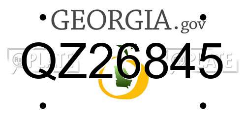 QZ26845 Georgia License Plate