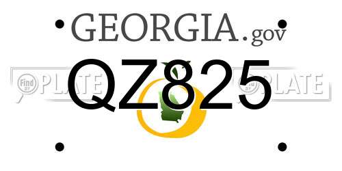 QZ825 Georgia License Plate