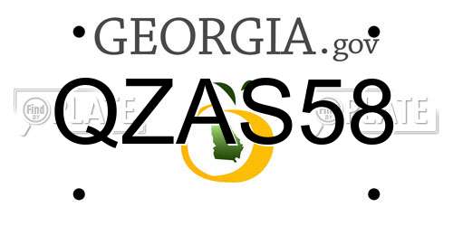 QZAS58 Georgia License Plate