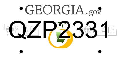 QZP2331 Georgia License Plate