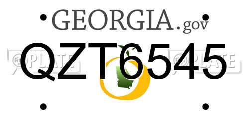 QZT6545 Georgia License Plate