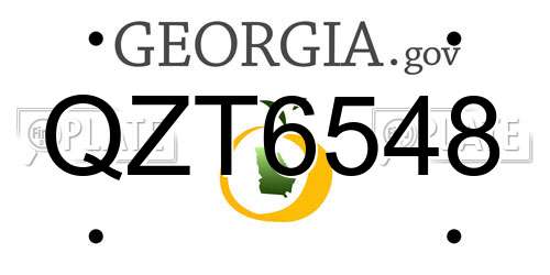 QZT6548 Georgia License Plate