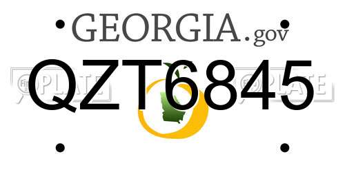 QZT6845 Georgia License Plate