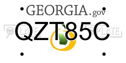 QZT85C Georgia License Plate