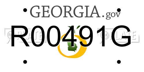 R00491G Georgia License Plate