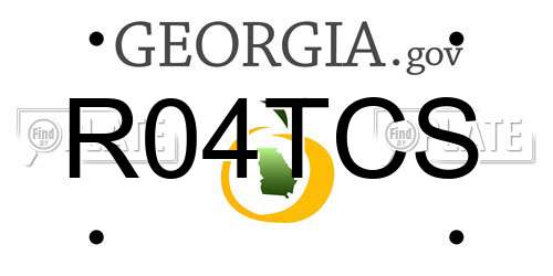 R04TCS Georgia License Plate