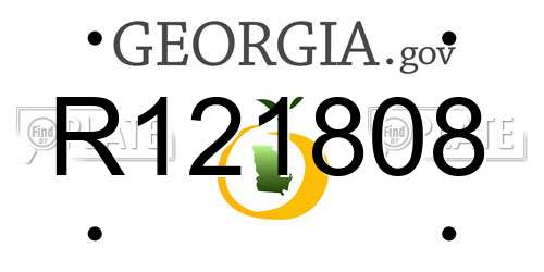 R121808 Georgia License Plate