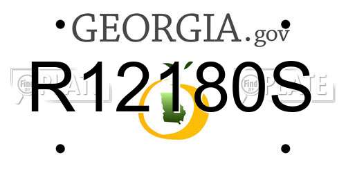 R12180S Georgia License Plate