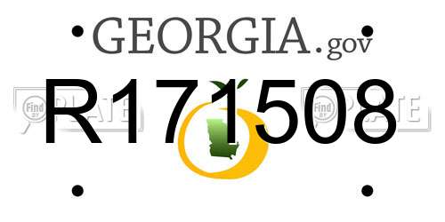 R171508 Georgia License Plate