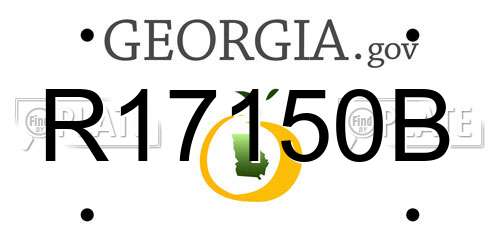 R17150B Georgia License Plate