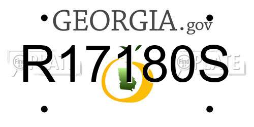 R17180S Georgia License Plate