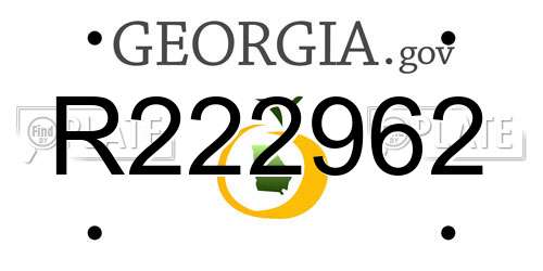 R222962 Georgia License Plate