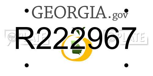 R222967 Georgia License Plate
