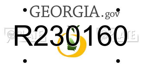 R230160 Georgia License Plate
