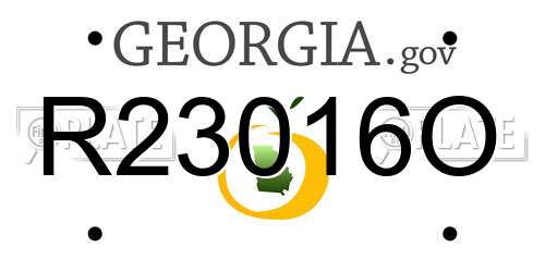 R23016O Georgia License Plate