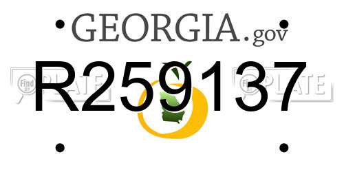 R259137 Georgia License Plate
