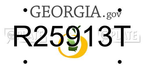 R25913T Georgia License Plate