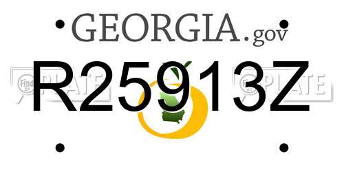 R25913Z Georgia License Plate