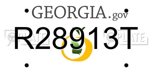 R28913T Georgia License Plate