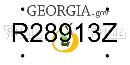 R28913Z Georgia License Plate