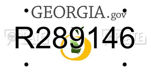R289146 Georgia License Plate