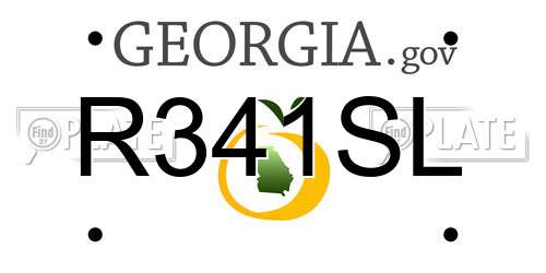 R341SL Georgia License Plate