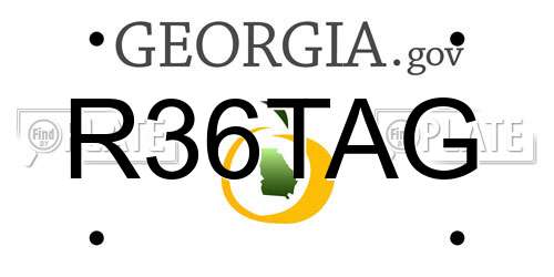 R36TAG Georgia License Plate