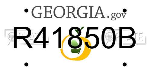 R41850B Georgia License Plate