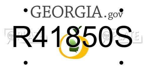 R41850S Georgia License Plate