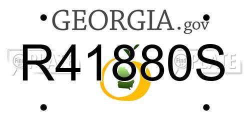 R41880S Georgia License Plate