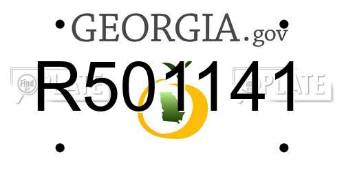 R501141 Georgia License Plate