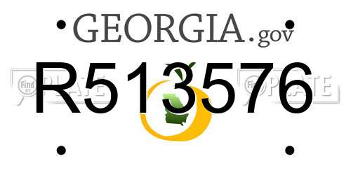 R513576 Georgia License Plate