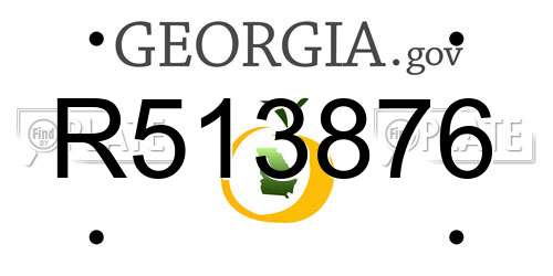 R513876 Georgia License Plate
